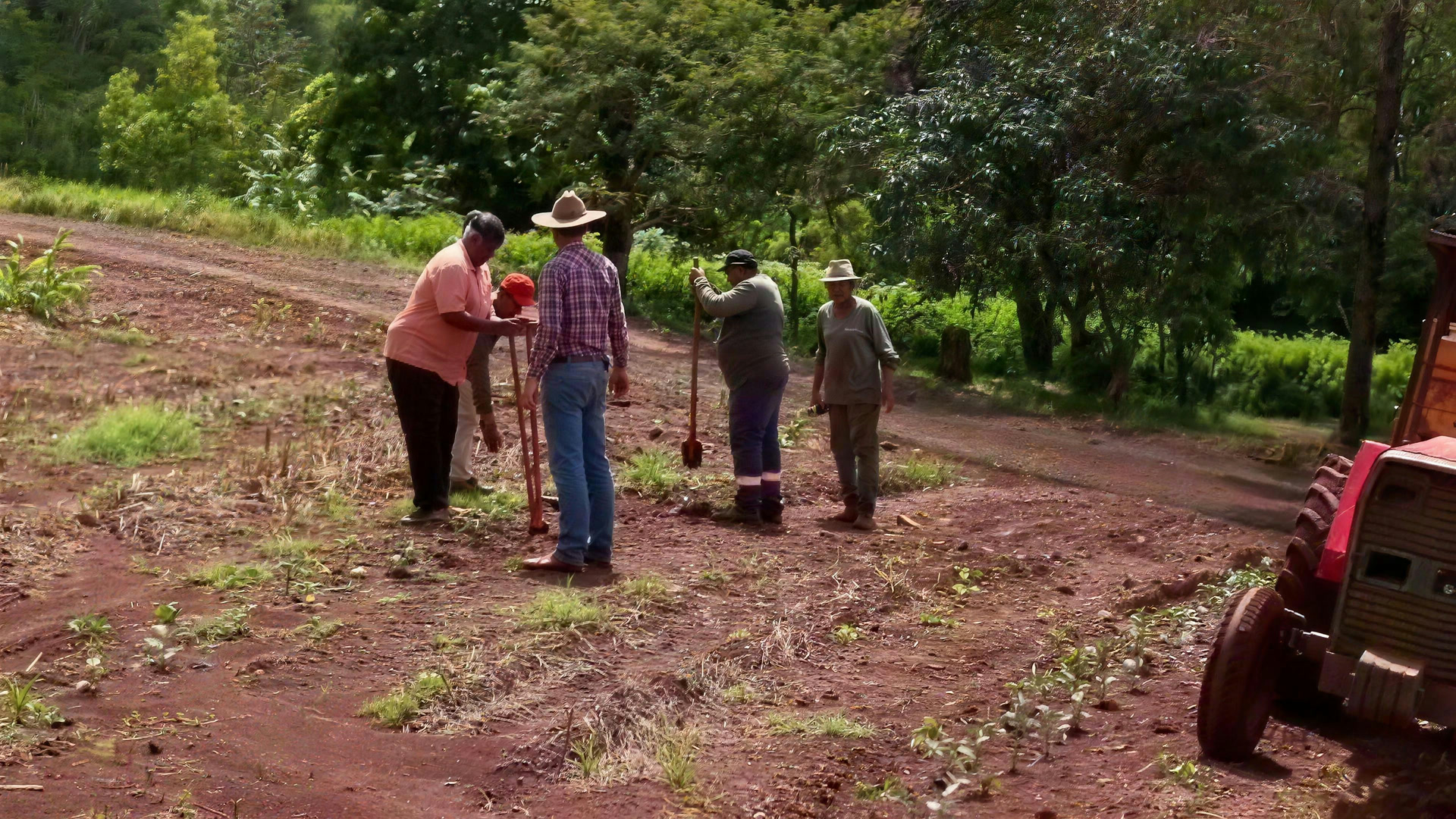 Trabalhadores da fazenda no campo de terra vermelha, ao lado de um trator
